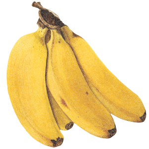 Bananas 1kg