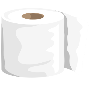 Toilet Paper Rolls 1 Ply (4)
